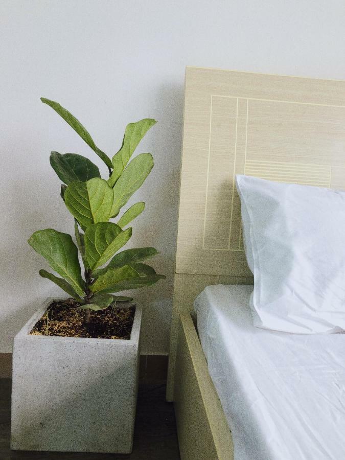 The Amber Studio - Eco-friendly Space